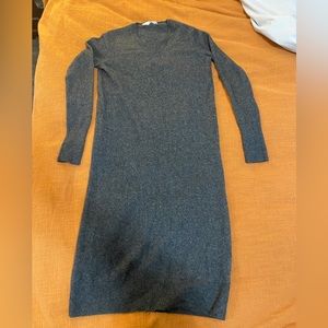 Everlane Cashmere Sweater Dress